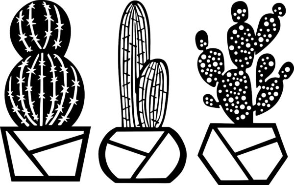 Tríptico de cactus – 3 piezas, 40 × 70 cm
